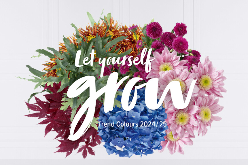 Opbloeien met de Juzo Trend Colours 2024/25
