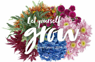 Großes Finale für die Trend Colours 2024 / 25
