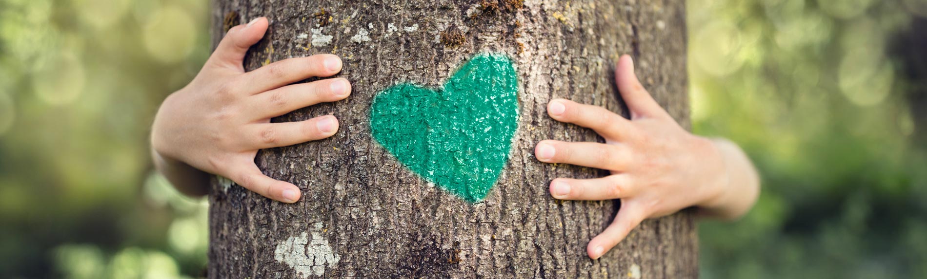 Am 25. April ist Tag des Baumes