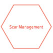 Sechseck Scar Management