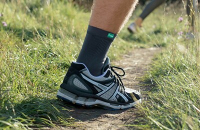 Wir helfen dem Hasen wieder auf die Sprünge