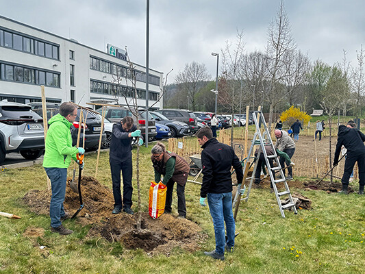 Eine Gruppe von Juzo Mitarbeitenden bereitet die Blühwiese am Standort Industriestraße vor.