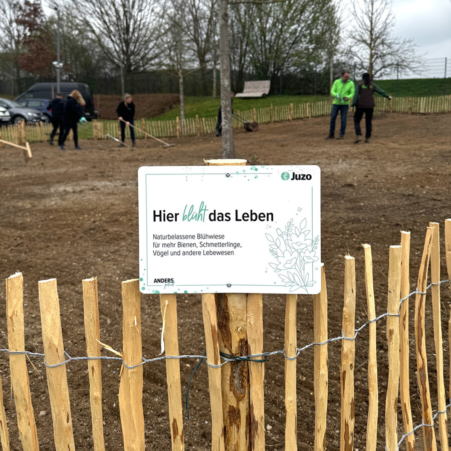 Pflanzaktion Blühwiese bei Juzo