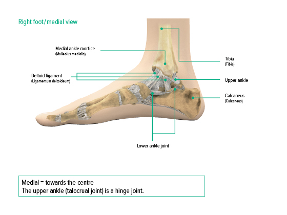 Pain in the ankle joint - Juzo