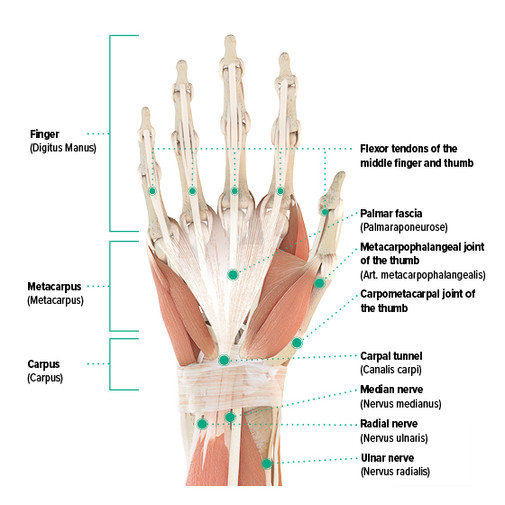 Hand pain causes and treatment Juzo