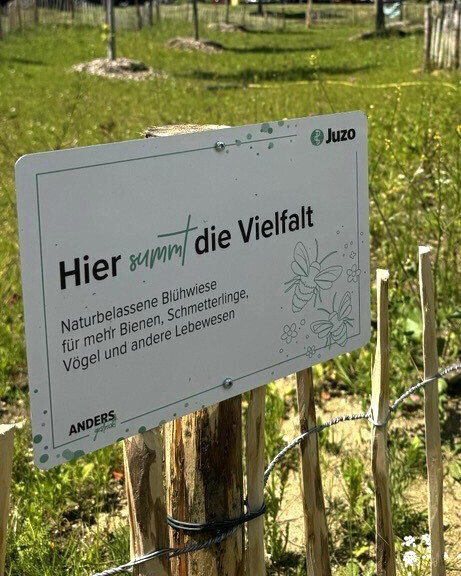 Pflanzaktion Blühwiese bei Juzo