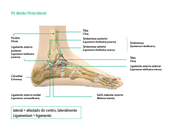 Vista lateral do tornozelo