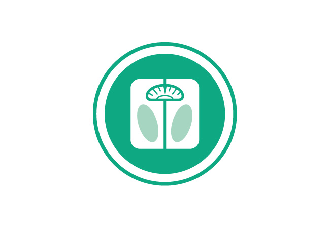 Obesity Icon Obesity Icon