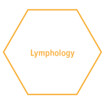 Sechseck Lymphology
