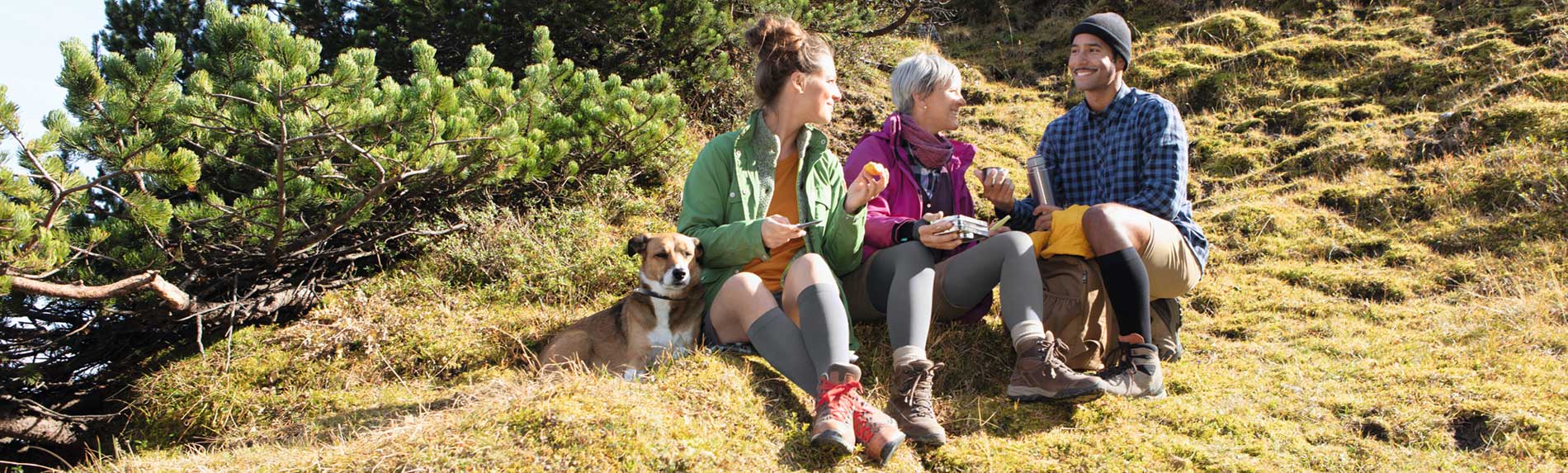 So hilft Sport bei Venenerkrankungen