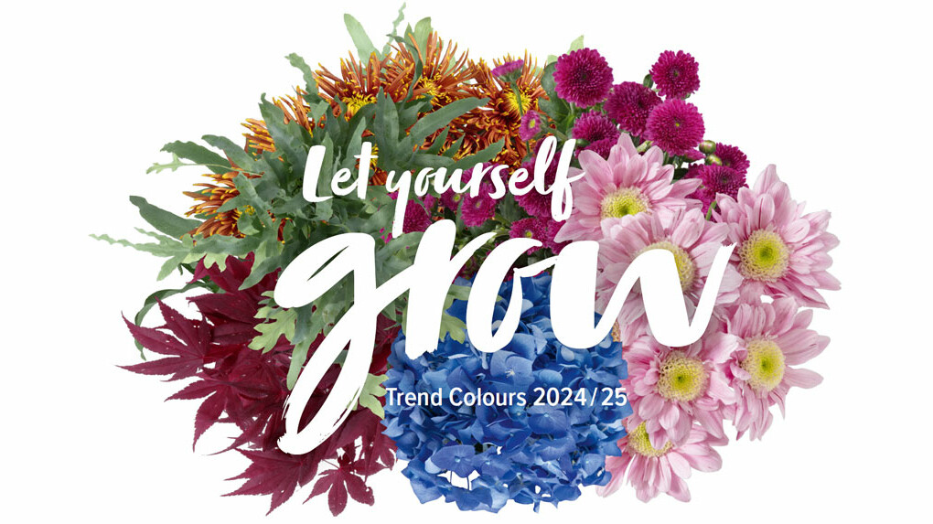 Mainteaser Batik Collection Kobiety mają na sobie Juzo Batik Collection