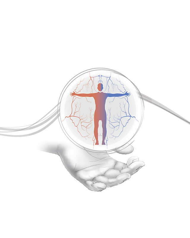 Finales Programm: 10. Phlebologisches Symposium