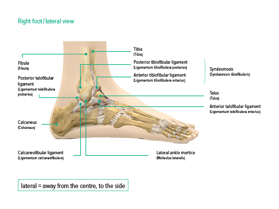 Pain in the ankle joint - Juzo