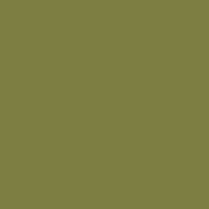 Farbe Pure Olive