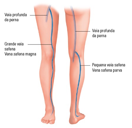 O sistema venoso da perna