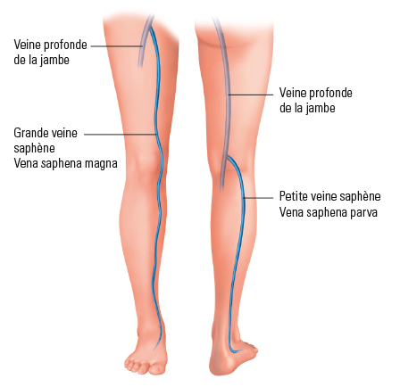 veines bleues apparentes jambes