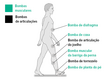 Bombas de músculos e articulações